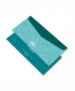 100 Envelopes Correspondência - 23 x 11 cm