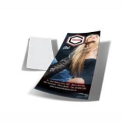 2500 Folhetos 10x21 cm - Couchê 150g - 4x0 Frente